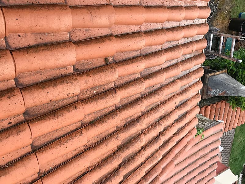 Toiture tuiles encrassée par mousses et lichens avant nettoyage à Nantes